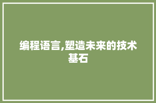 编程语言,塑造未来的技术基石