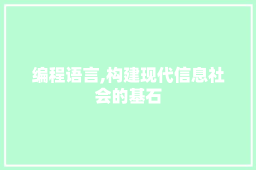 编程语言,构建现代信息社会的基石