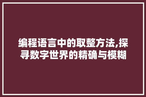 编程语言中的取整方法,探寻数字世界的精确与模糊
