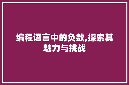 编程语言中的负数,探索其魅力与挑战