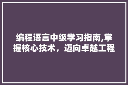 编程语言中级学习指南,掌握核心技术，迈向卓越工程师