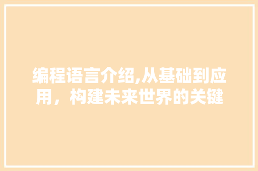 编程语言介绍,从基础到应用，构建未来世界的关键