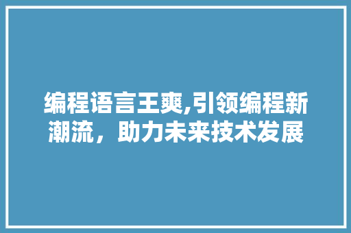 编程语言王爽,引领编程新潮流，助力未来技术发展