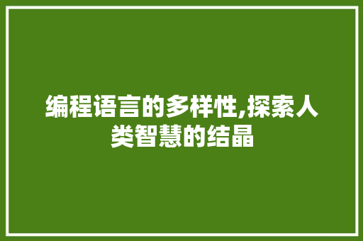 编程语言的多样性,探索人类智慧的结晶