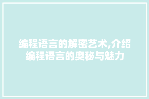 编程语言的解密艺术,介绍编程语言的奥秘与魅力