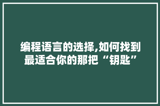 编程语言的选择,如何找到最适合你的那把“钥匙”