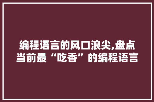 编程语言的风口浪尖,盘点当前最“吃香”的编程语言
