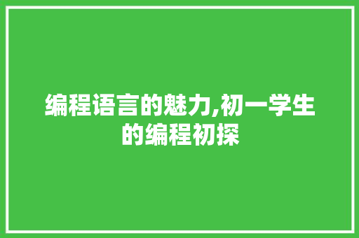 编程语言的魅力,初一学生的编程初探