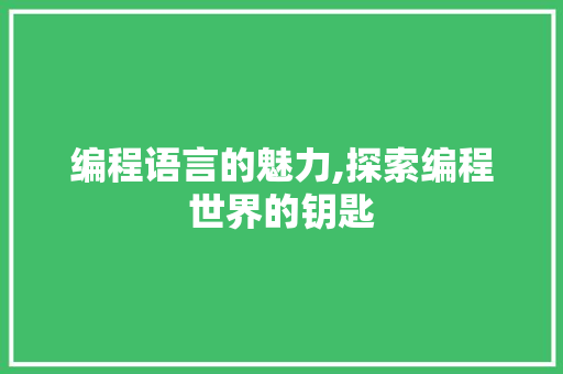 编程语言的魅力,探索编程世界的钥匙