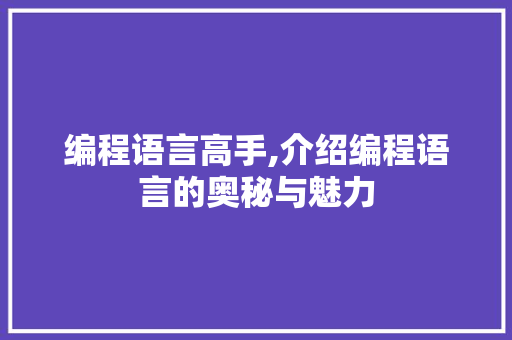 编程语言高手,介绍编程语言的奥秘与魅力