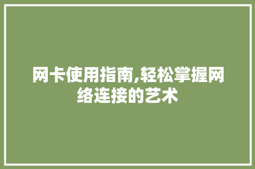 网卡使用指南,轻松掌握网络连接的艺术