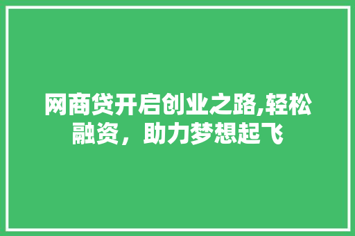 网商贷开启创业之路,轻松融资，助力梦想起飞