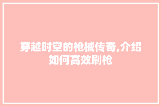 穿越时空的枪械传奇,介绍如何高效刷枪