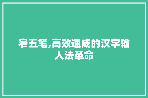 窄五笔,高效速成的汉字输入法革命