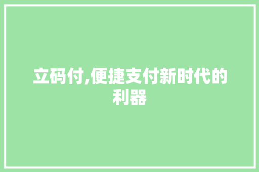 立码付,便捷支付新时代的利器