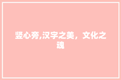 竖心旁,汉字之美，文化之魂