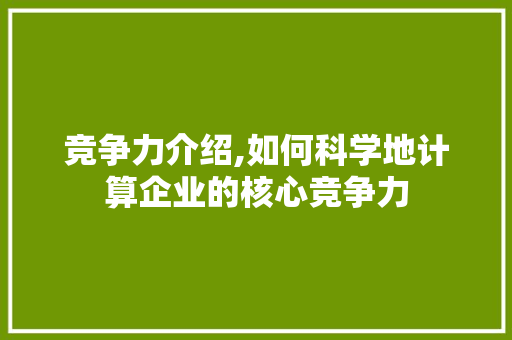 竞争力介绍,如何科学地计算企业的核心竞争力 WordPress教程