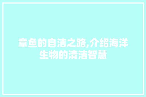 章鱼的自洁之路,介绍海洋生物的清洁智慧 WordPress教程