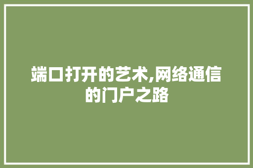 端口打开的艺术,网络通信的门户之路