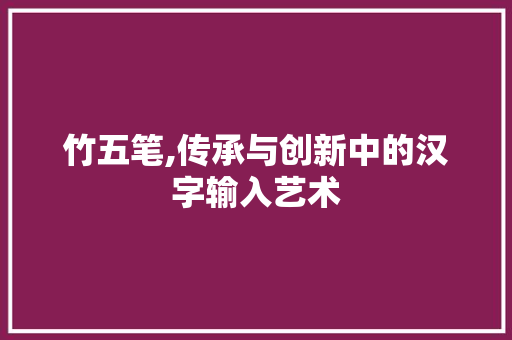 竹五笔,传承与创新中的汉字输入艺术