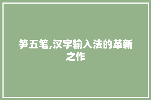 笋五笔,汉字输入法的革新之作