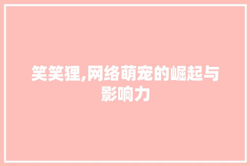 笑笑狸,网络萌宠的崛起与影响力