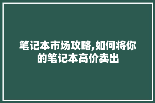 笔记本市场攻略,如何将你的笔记本高价卖出