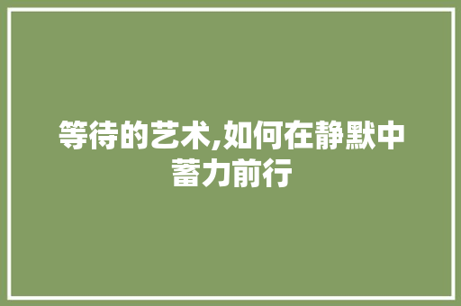 等待的艺术,如何在静默中蓄力前行