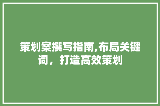 策划案撰写指南,布局关键词，打造高效策划