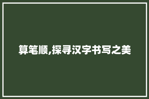 算笔顺,探寻汉字书写之美