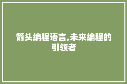 箭头编程语言,未来编程的引领者