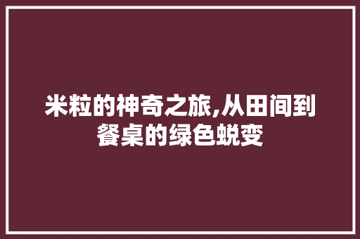 米粒的神奇之旅,从田间到餐桌的绿色蜕变