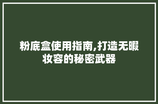 粉底盒使用指南,打造无暇妆容的秘密武器 服务器/数据库