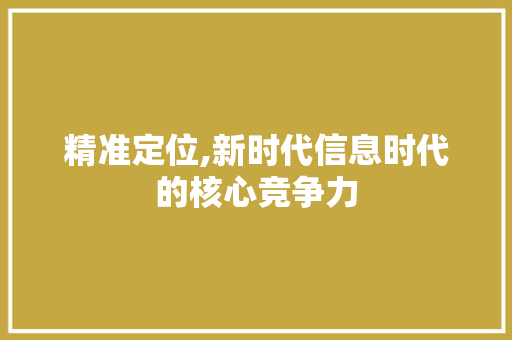 精准定位,新时代信息时代的核心竞争力