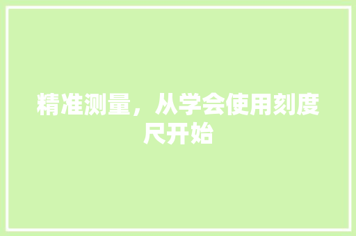 精准测量，从学会使用刻度尺开始 SEO教程