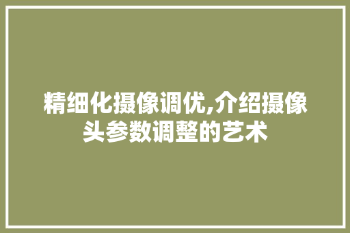 精细化摄像调优,介绍摄像头参数调整的艺术