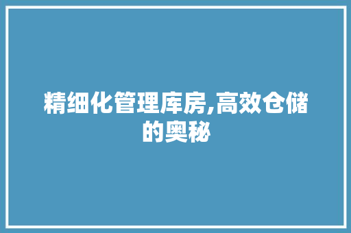 精细化管理库房,高效仓储的奥秘