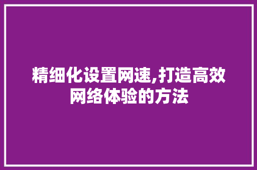 精细化设置网速,打造高效网络体验的方法