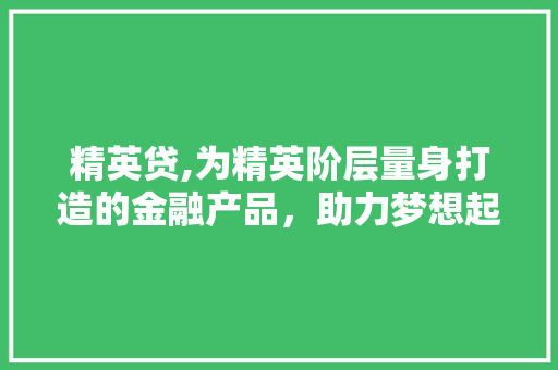 精英贷,为精英阶层量身打造的金融产品，助力梦想起航