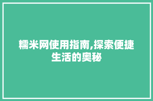 糯米网使用指南,探索便捷生活的奥秘