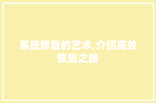 系统修复的艺术,介绍高效恢复之路
