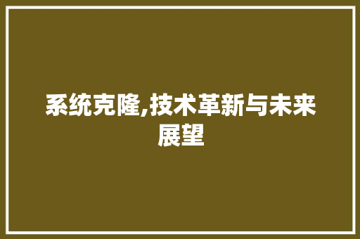 系统克隆,技术革新与未来展望