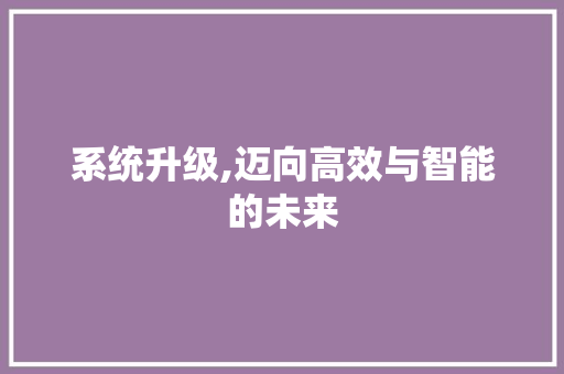 系统升级,迈向高效与智能的未来
