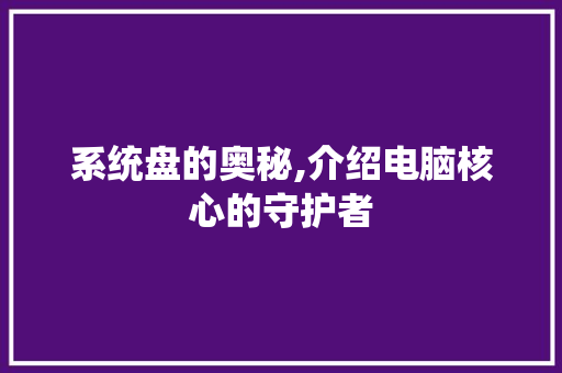 系统盘的奥秘,介绍电脑核心的守护者
