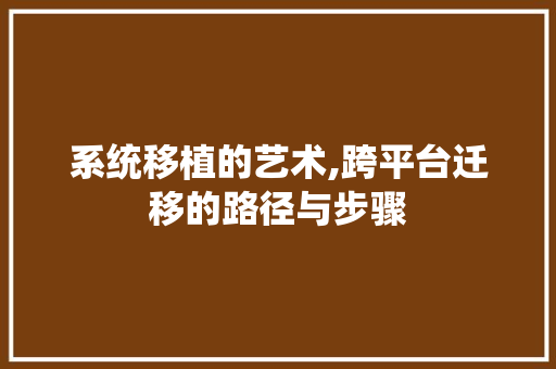 系统移植的艺术,跨平台迁移的路径与步骤