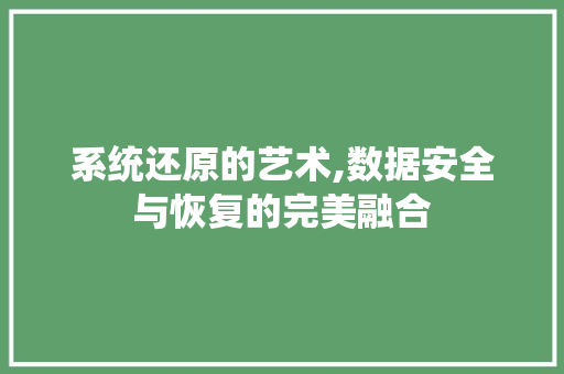 系统还原的艺术,数据安全与恢复的完美融合