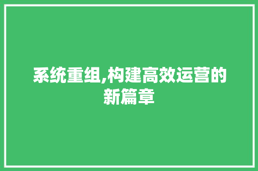 系统重组,构建高效运营的新篇章