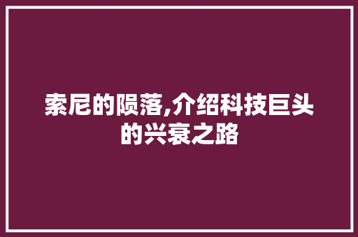 索尼的陨落,介绍科技巨头的兴衰之路