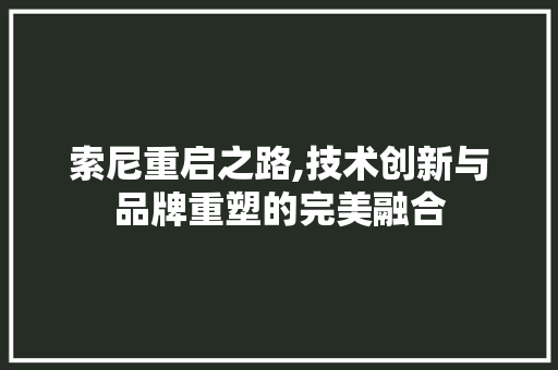 索尼重启之路,技术创新与品牌重塑的完美融合 SEO教程