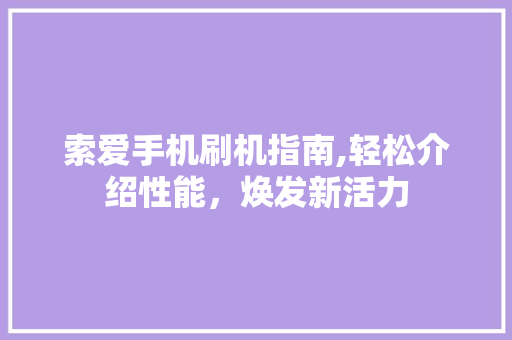 索爱手机刷机指南,轻松介绍性能，焕发新活力 建站教程